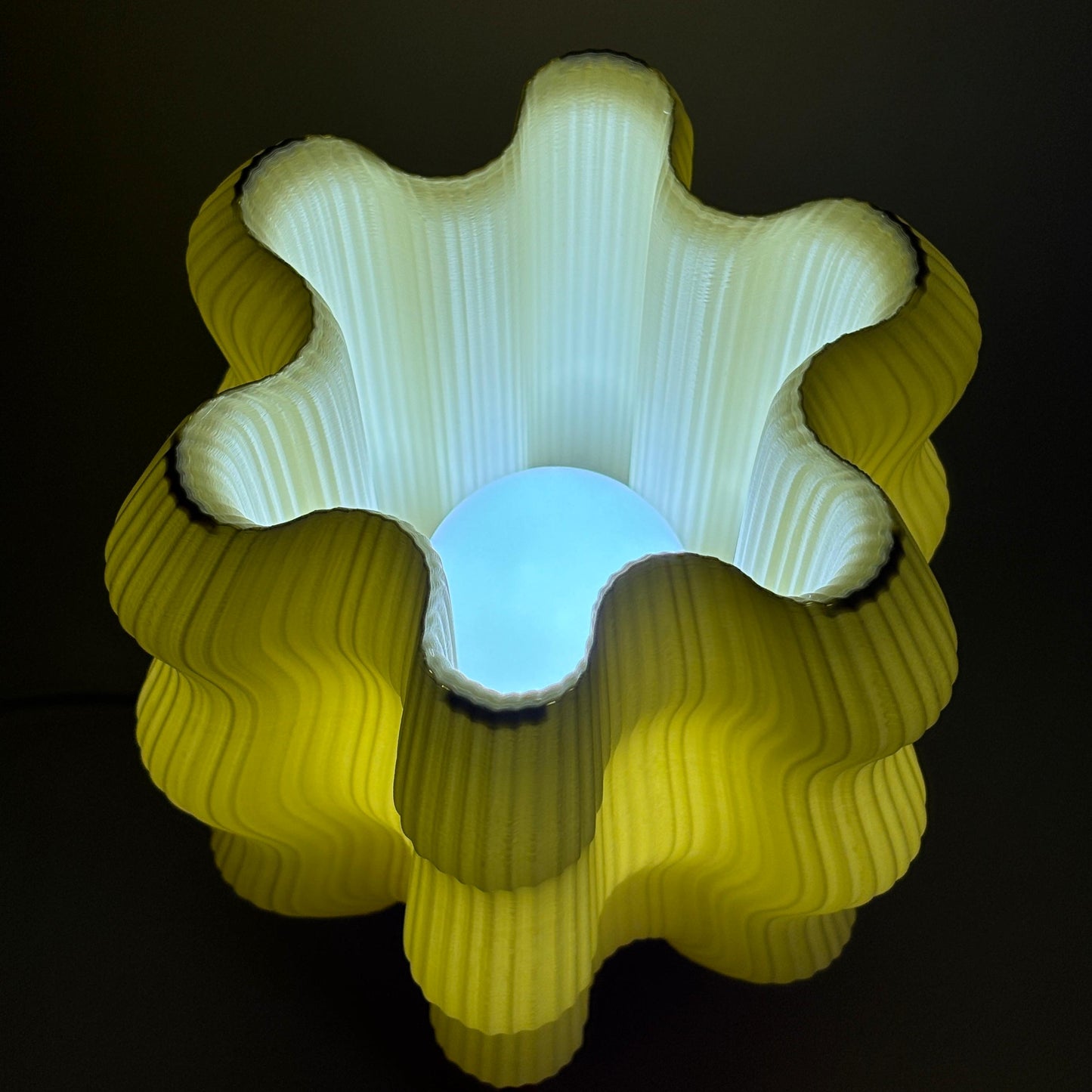 Dupla Coral